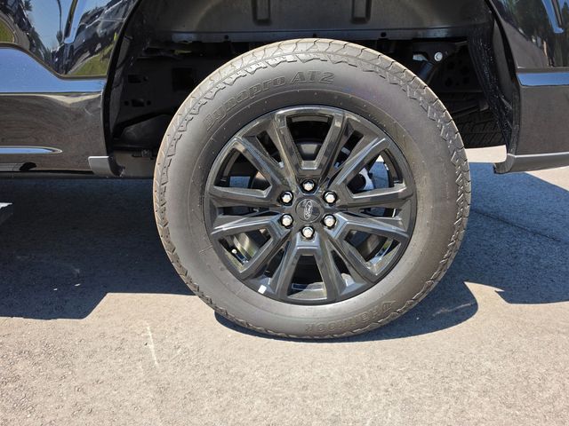 2024 Ford F-150 PLATINUM 4WD - 23002091 - 8