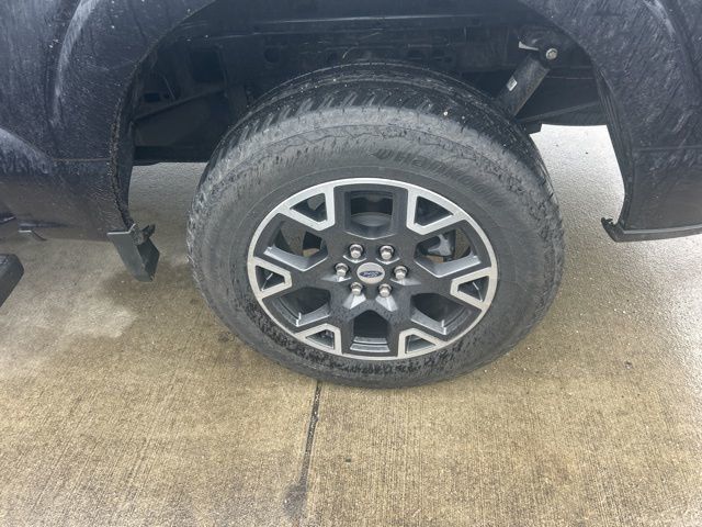 2024 Ford F-150 STX 4WD SuperCrew 5.5' Box - 22981973 - 14