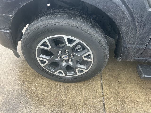 2024 Ford F-150 STX 4WD SuperCrew 5.5' Box - 22981973 - 15