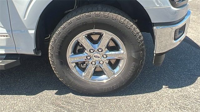 2024 Ford F-150 XLT - 22897482 - 9