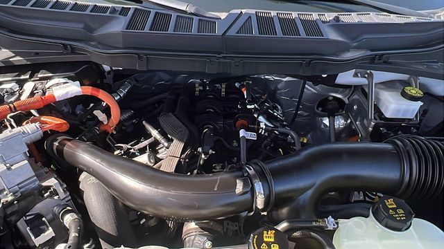 2024 Ford F-150 XLT - 22985569 - 12