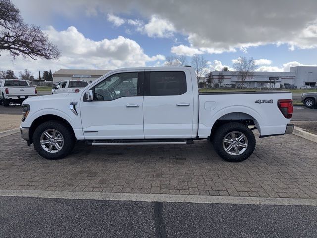 2024 Ford F-150 XLT - 22985569 - 4
