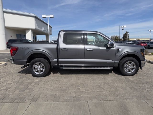 2024 Ford F-150 XLT - 22985582 - 1