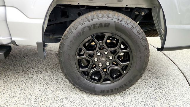 2024 Ford F-150 XLT 4WD SuperCrew 5.5' Box Lions Limited Edition w/ PowerBoost - 23079178 - 8