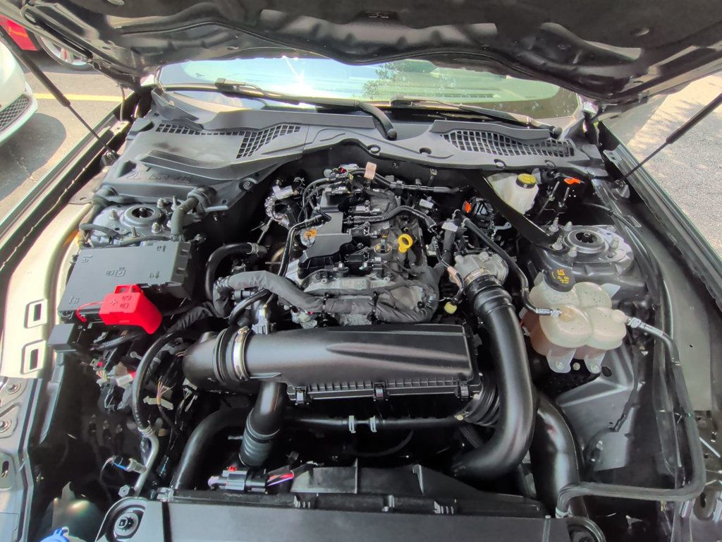 Ford Mustang EcoBoost Convertible photo 11