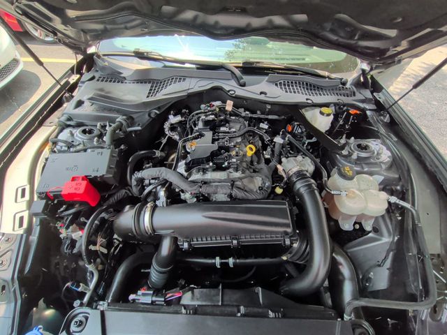 2024 Ford Mustang EcoBoost Convertible - 23060216 - 10