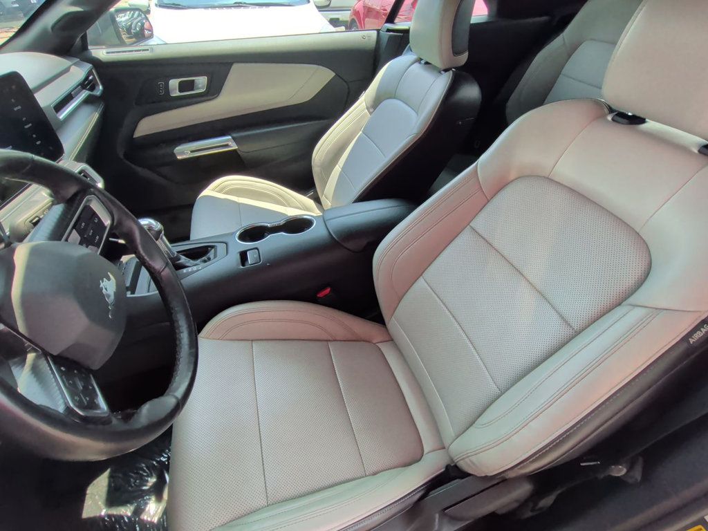 Ford Mustang EcoBoost Convertible photo 14