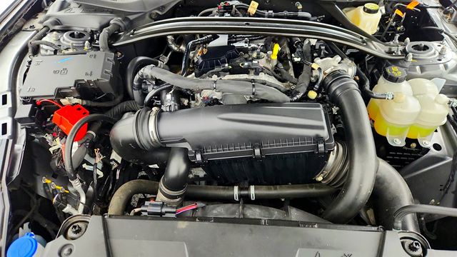 2024 Ford Mustang EcoBoost Convertible w/ Nite Pony Package & Active Perf. Exhaust - 22965575 - 25