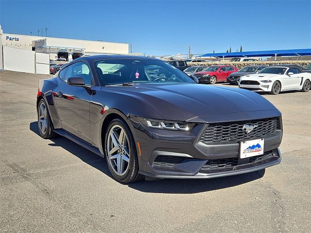 2024 Ford Mustang EcoBoost Fastback - 22984264 - 5