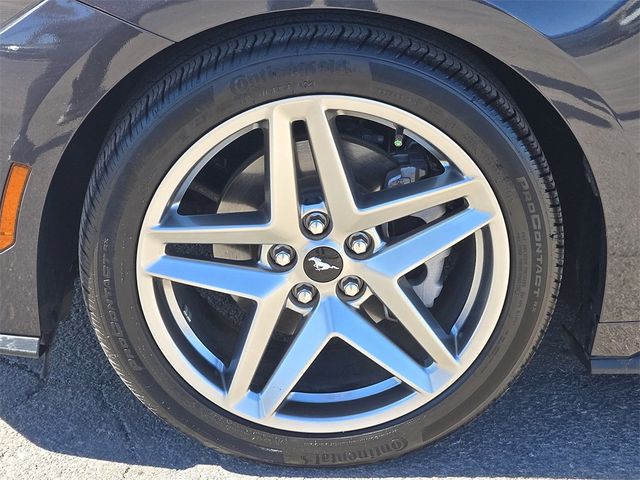 2024 Ford Mustang EcoBoost Fastback - 22984264 - 6