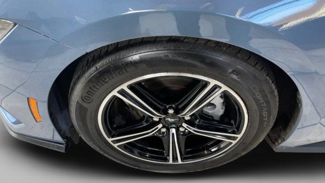 2024 Ford Mustang EcoBoost Fastback - 22985749 - 19