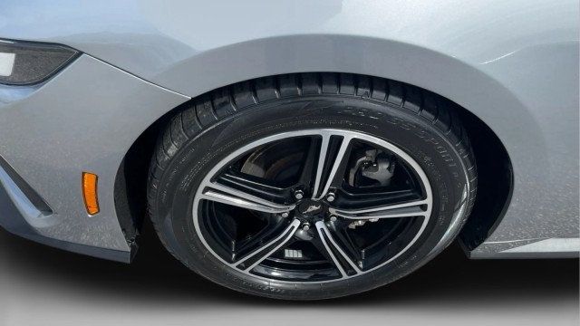 2024 Ford Mustang EcoBoost Fastback - 23016132 - 19