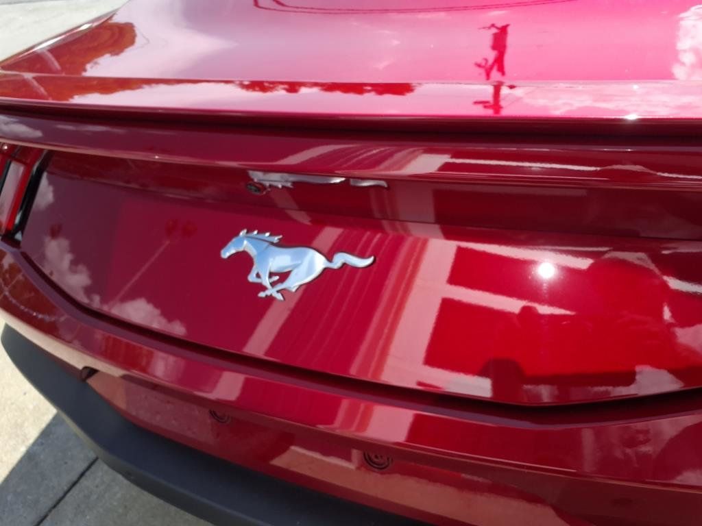 2024 Ford Mustang EcoBoost Fastback - 22894592 - 20
