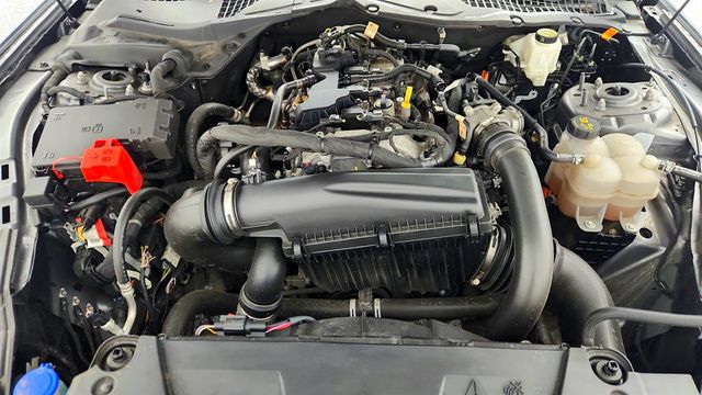 2024 Ford Mustang EcoBoost Fastback w/ Equipment Group 101A High Pkg - 23014998 - 24