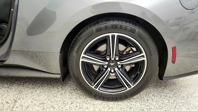 2024 Ford Mustang EcoBoost Fastback w/ Equipment Group 101A High Pkg - 23014998 - 8