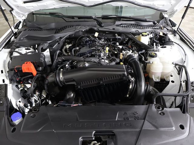 2024 Ford Mustang EcoBoost Premium Convertible - 22991398 - 19