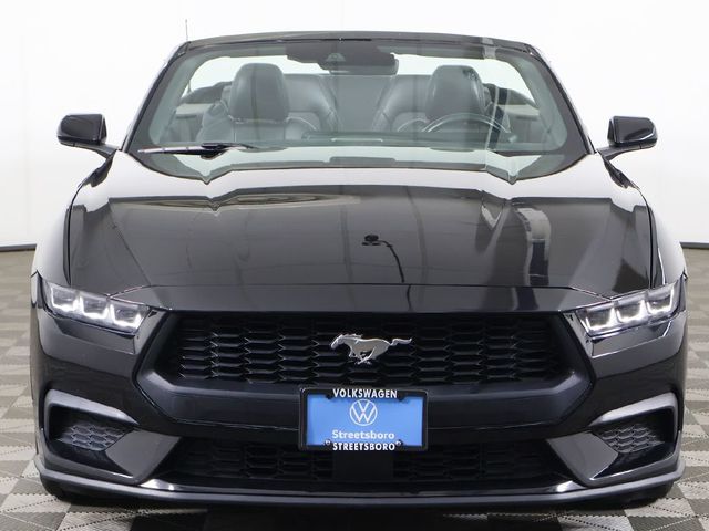 2024 Ford Mustang EcoBoost Premium Convertible - 23036297 - 12