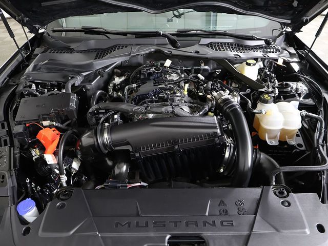 2024 Ford Mustang EcoBoost Premium Convertible - 23036297 - 20