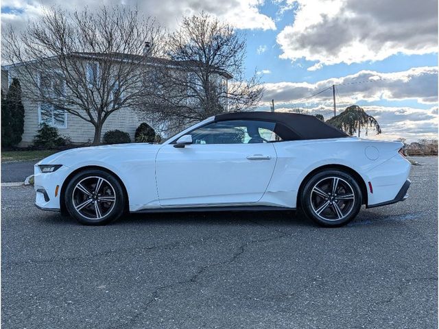 2024 Ford Mustang EcoBoost Premium Convertible - 22998500 - 9