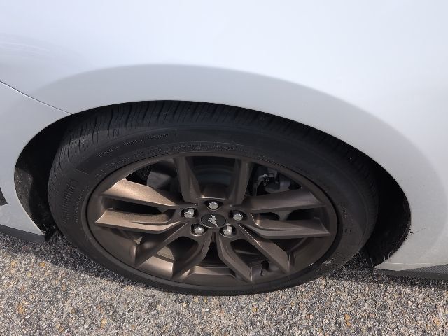 2024 Ford Mustang EcoBoost Premium Fastback - 22992950 - 9