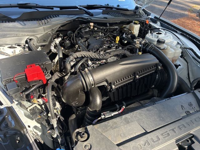 2024 Ford Mustang EcoBoost Premium Fastback - 22992950 - 18