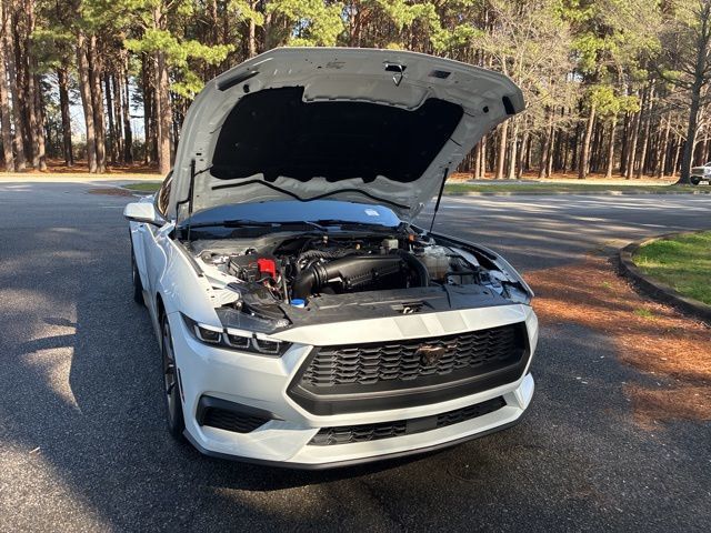 2024 Ford Mustang EcoBoost Premium Fastback - 22992950 - 19