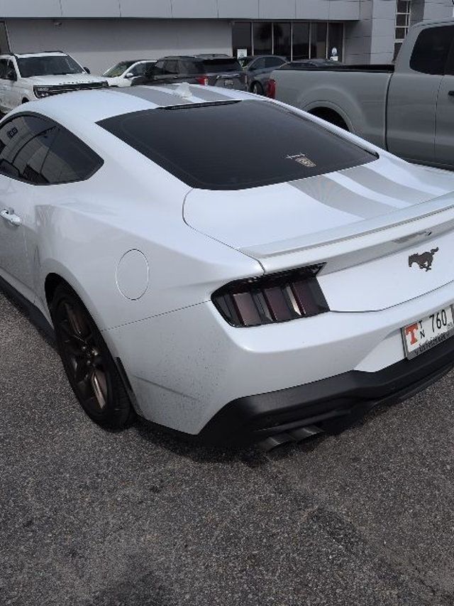 2024 Ford Mustang EcoBoost Premium Fastback - 22992950 - 6