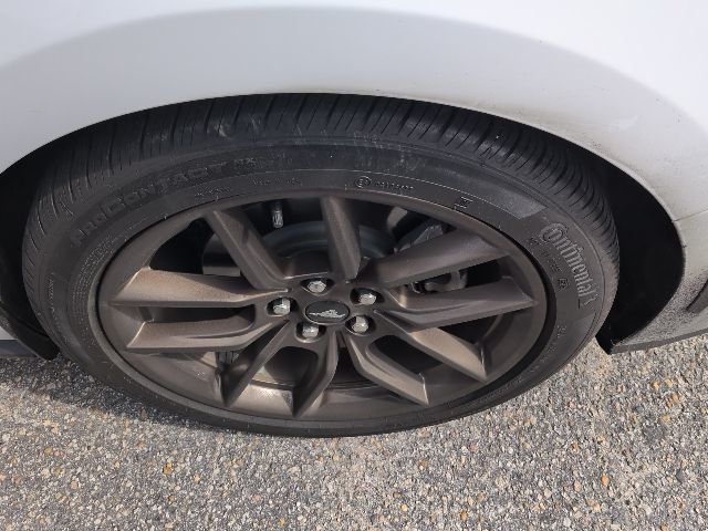 2024 Ford Mustang EcoBoost Premium Fastback - 22992950 - 8