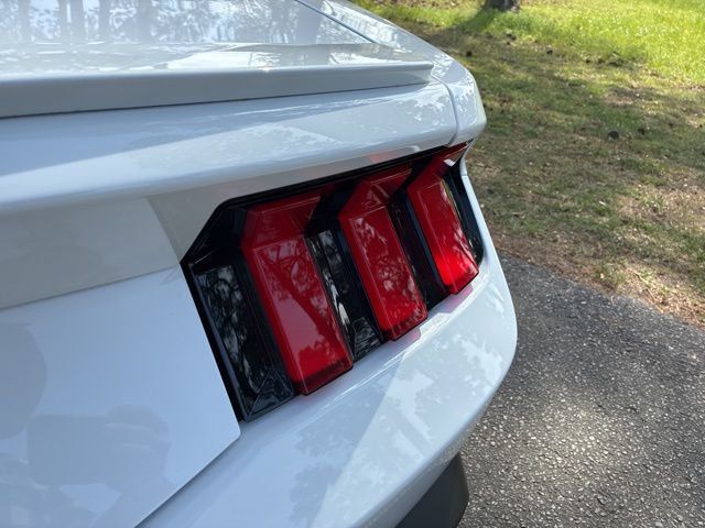 2024 Ford Mustang EcoBoost Premium Fastback - 23000746 - 13