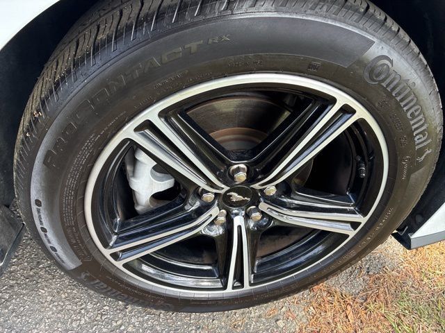 2024 Ford Mustang EcoBoost Premium Fastback - 23000746 - 15