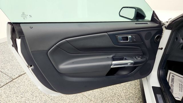 2024 Ford Mustang EcoBoost Premium Fastback w/ Mustang Nite Pony Package - 22996858 - 10