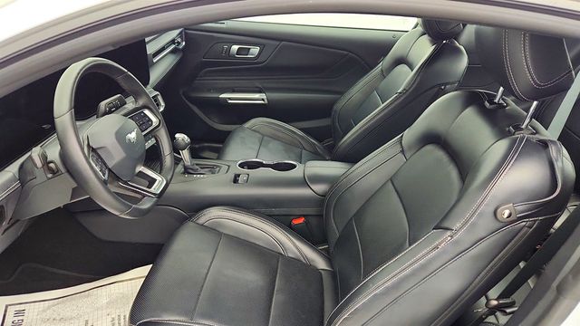 2024 Ford Mustang EcoBoost Premium Fastback w/ Mustang Nite Pony Package - 22996858 - 18