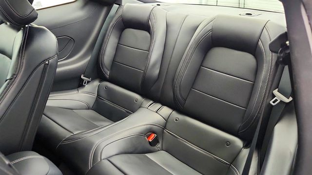 2024 Ford Mustang EcoBoost Premium Fastback w/ Mustang Nite Pony Package - 22996858 - 19