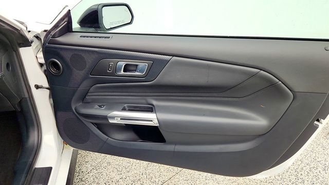 2024 Ford Mustang EcoBoost Premium Fastback w/ Mustang Nite Pony Package - 22996858 - 23