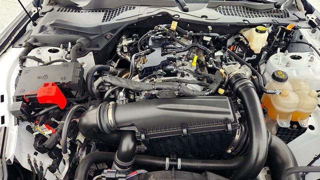 2024 Ford Mustang EcoBoost Premium Fastback w/ Mustang Nite Pony Package - 22996858 - 24