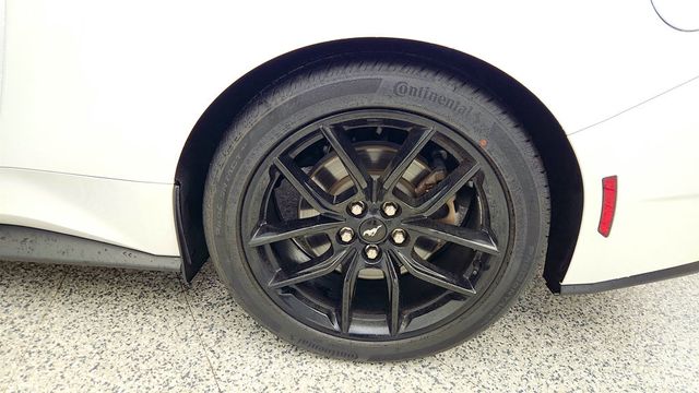 2024 Ford Mustang EcoBoost Premium Fastback w/ Mustang Nite Pony Package - 22996858 - 8