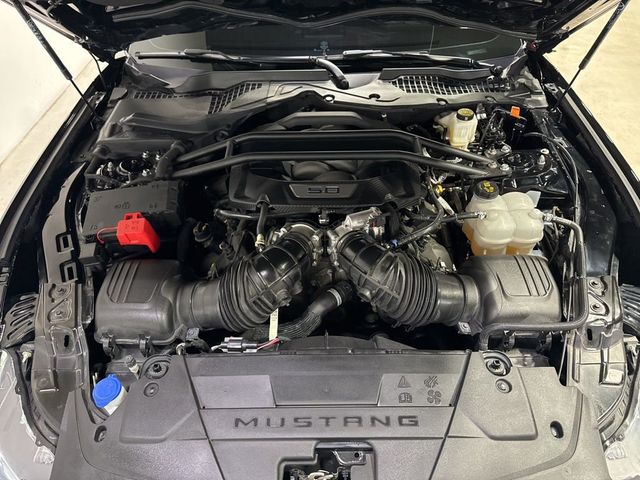 2024 Ford Mustang GT Fastback - 23008934 - 50