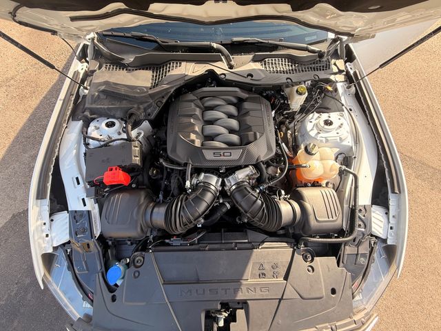 2024 Ford Mustang GT Fastback - 23084931 - 19