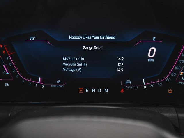 2024 Ford Mustang GT Premium - 22893950 - 13