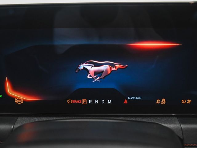 2024 Ford Mustang GT Premium - 22893950 - 16