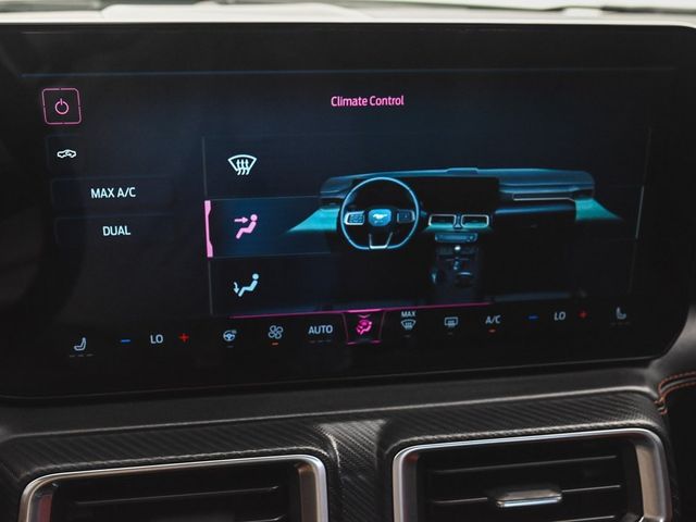 2024 Ford Mustang GT Premium - 22893950 - 21