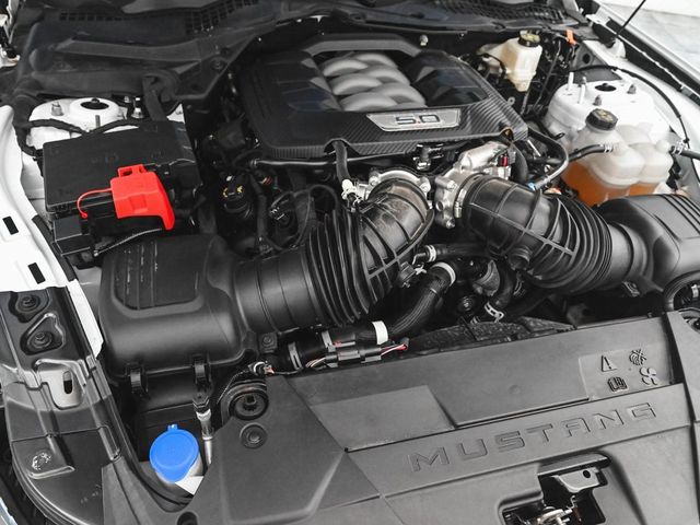 2024 Ford Mustang GT Premium - 22893950 - 34