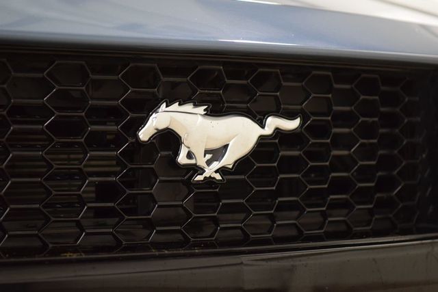 2024 Ford Mustang GT Premium Convertible - 23019952 - 13