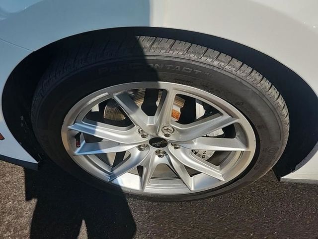 2024 Ford Mustang GT Premium Fastback - 22966880 - 11