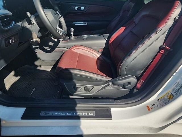 2024 Ford Mustang GT Premium Fastback - 22966880 - 24