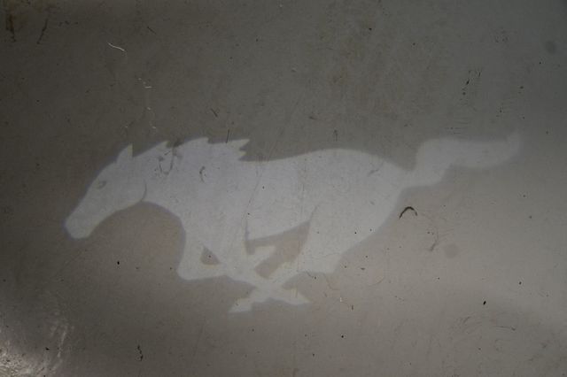 2024 Ford Mustang GT Premium Fastback - 22888656 - 17