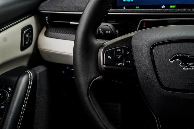 2024 Ford Mustang Mach-E Premium RWD - 22886594 - 33