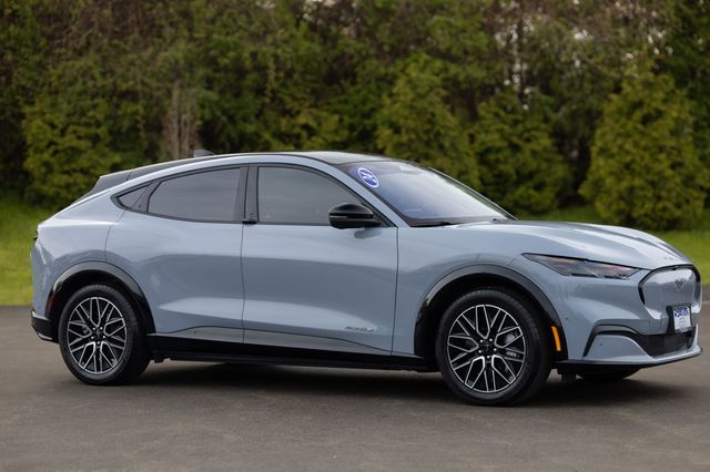 2024 Ford Mustang Mach-E Premium RWD - 22833620 - 19