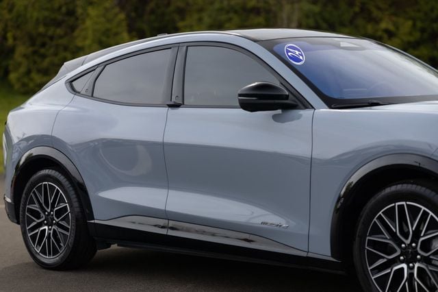 2024 Ford Mustang Mach-E Premium RWD - 22833620 - 21