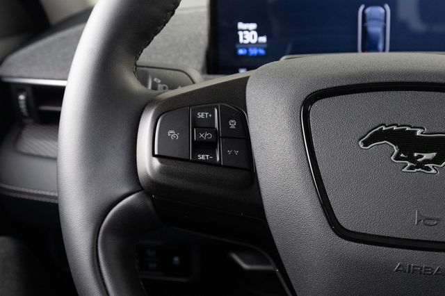 2024 Ford Mustang Mach-E Premium RWD - 22833620 - 37